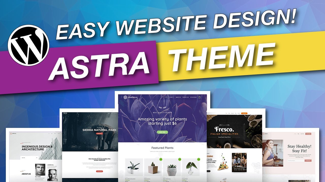 Astra theme